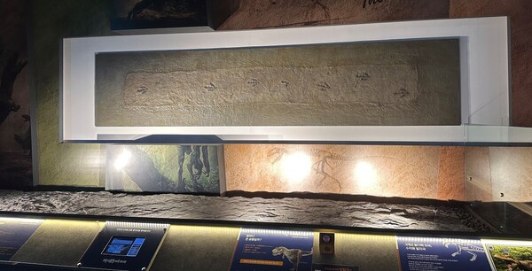 진주익룡발자국전시관 익룡 화석관.