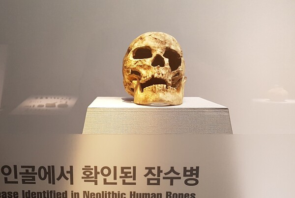 통영시립박물관에 전시된 신석기시대 유골.