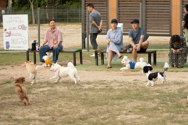 27일 오후 창원시립상복공원에 있는 창원반려동물문화센터 펫 빌리지 놀이터에 수십마리 강아지와 반려인들이 와서 즐거운 시간을 함께 보내고 있다. 이곳에는 중·소형견과 대형견 놀이터가 분리돼 있으며 따로 어질리티 존(놀이·교육 공간)도 갖춰져 있다. 또한 놀이터 뒤 야산에는 반려동물 산책로도 갖춰져 있어 반려인들에게 인기가 높다. 평일 저녁에도 수십마리 씩 이곳에 와서 시간을 보내고 있다. /정성인 기자