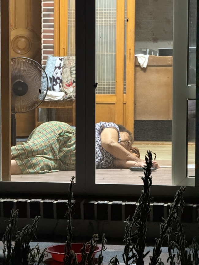 깨를 마당에 말려두고 지쳐주무시는 할머니 사진 아래에 깻대가 보인다. /김윤지