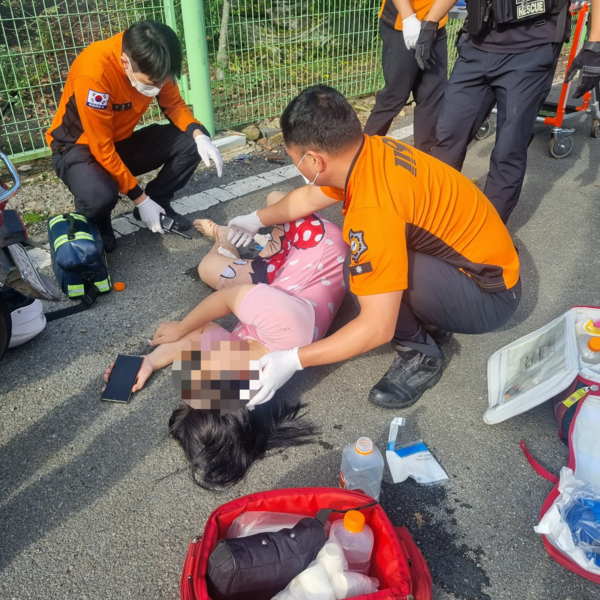 30대 주민 1명이 멧돼지와 충돌해 머리와 무릎을 다쳤다. /경남소방본부