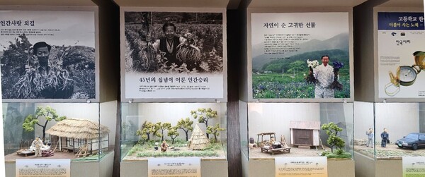 장생도라지 탄생 과정.