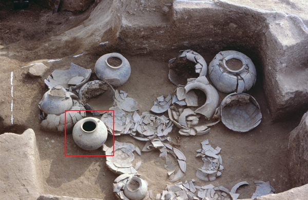 김해 대성동고분군에서 출토된 꿩 21마리를 담은 토기(빨간 네모). /국립김해박물관