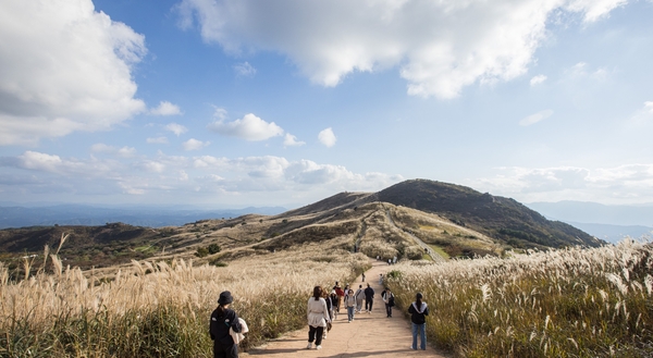 은빛 억새가 장관을 이룬 황매산 가을 풍경, 억새 축제는 끝났지만 11월 초순까지 억새가 있는 가을 정취를 만끽할 수 있다. /합천군