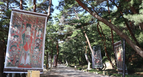 양산 통도사 무풍한솔길.