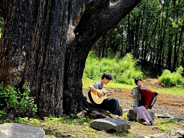 하동군 두양리에 있는 1000살 은행나무 할머니 곁에서 연주하며 노래하고 있는 박혜리(오른쪽)·최힘찬 음악가. /최세현