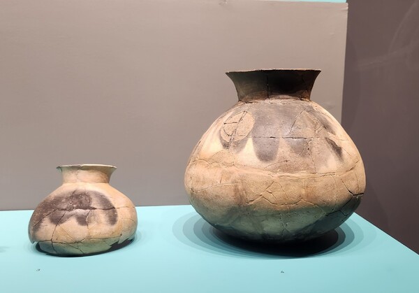 진주청동기문화박물관에 전시된 가지문 토기.