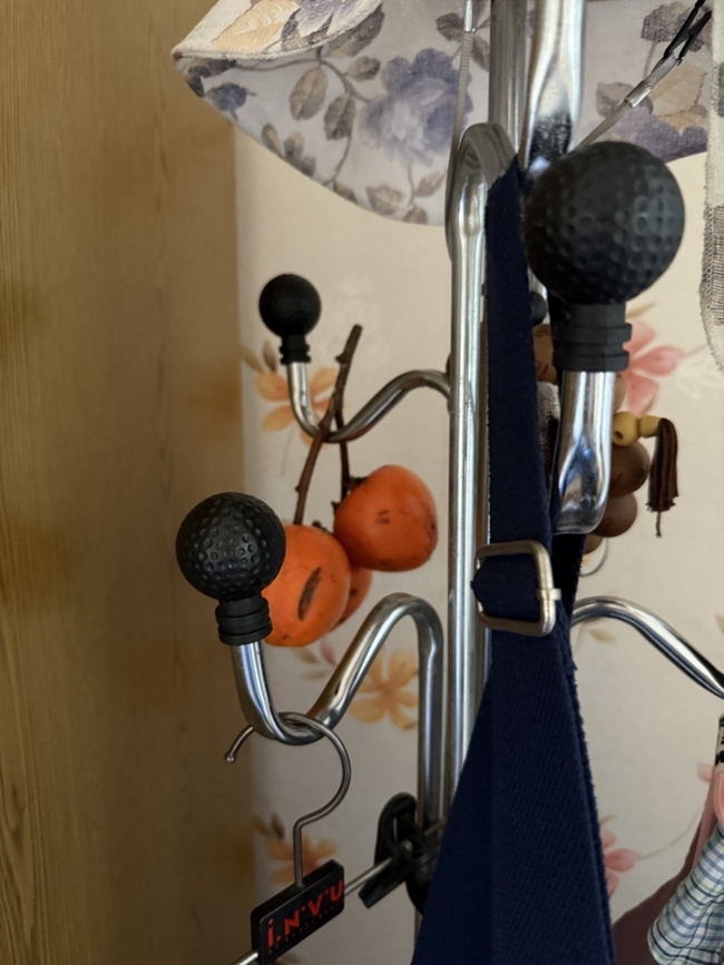 11월의 감은 아직 땐땐해서 떫은 맛만 난다. /김윤지