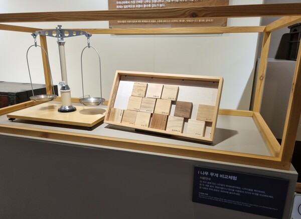 김해목재문화박물관에서 할 수 있 나무 무게 비교 체험.