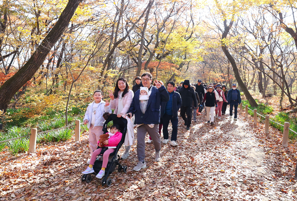 22일 함양군 상림공원 일원에서 열린 ‘천년의 숲, 상림 건강 걷기’에서 참가자들이 늦가을 가을단픙을 구경하며 걷고 있다. /함양군