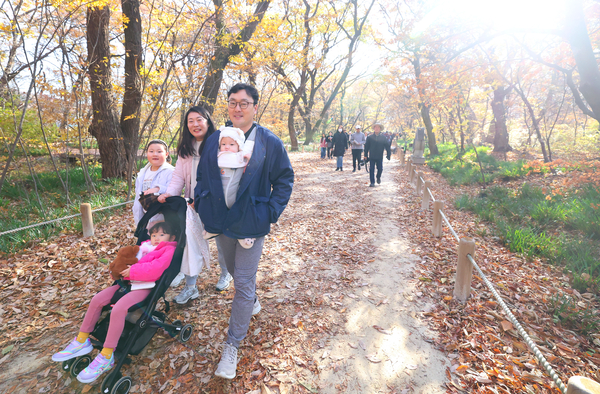 22일 함양군 상림공원 일원에서 열린 ‘천년의 숲, 상림 건강 걷기’에서 참가자들이 늦가을 가을단픙을 구경하며 걷고 있다. /함양군