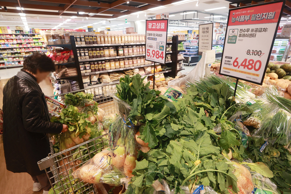 한 대형마트에서 배추와 다발무를 각각 20% 할인된 가격에 판매하고 있다. /연합뉴스