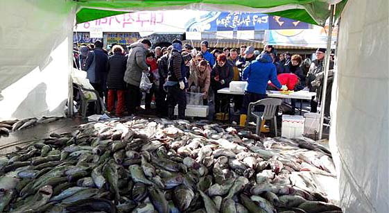 거제대구수산물축제 모습. /거제시