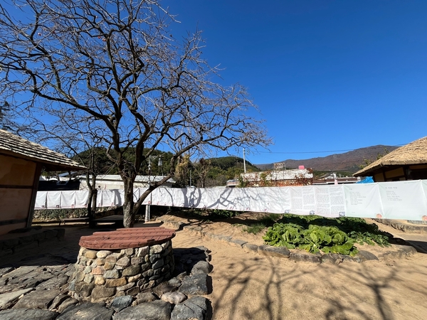 김달진 시인의 생가에 있는 우물과 텃밭. 마을 주민이 심은 무 배추기 시퍼렇게 자랐다. /권영란