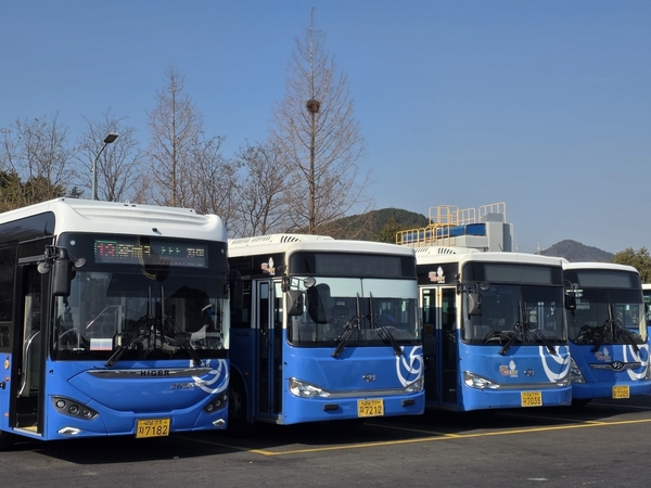 https://cdn.idomin.com/news/photo/202601/955110_662975_4002.jpg